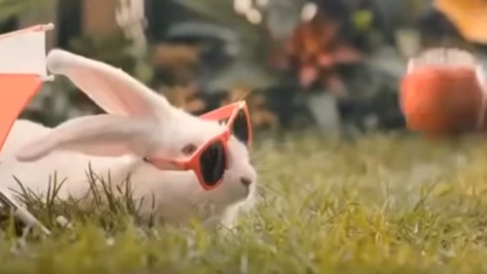 Polonia: el gobierno insta a sus ciudadanos a reproducirse "como conejos"