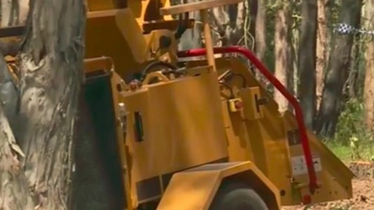 Ayudaba a su vecina a sacar un árbol con una trituradora y tuvo el peor final