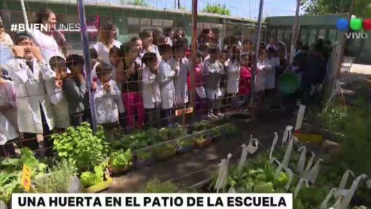 #LaCunaDeLosSueños Una huerta en el patio de la escuela