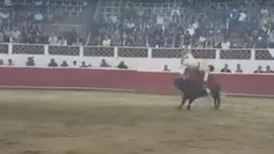 Video impactante: un torero recibió una cornada en los testículos