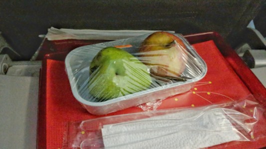 Pidió un menú vegetariano en el avión y le sirvieron esto
