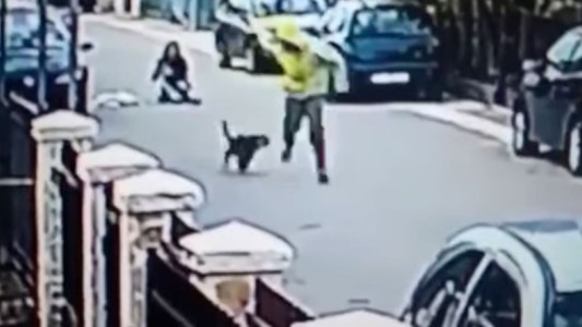 Un perro enfrentó a un ladrón y salvó a una mujer de un violento asalto