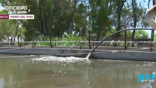 Un reclamo con mal olor