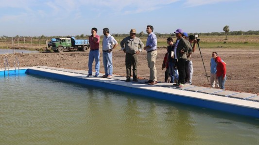 Bronca en las redes por el desafortunado homenaje de Capitanich: le puso Santiago Maldonado a un natatorio