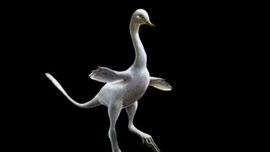 El sorprendente hallazgo de los restos de un dinosaurio mezcla de pato, cocodrilo y cisne