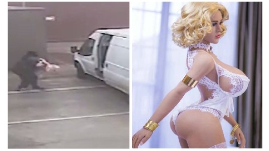 Video: así robaron la muñeca sexual más cara del mundo