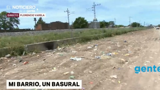 Se llevaron la basura, pero volvió