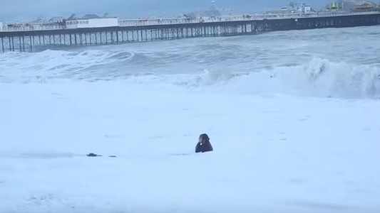 Mujer se tiró al agua para salvar a su perro cuando se lo llevaba la marea