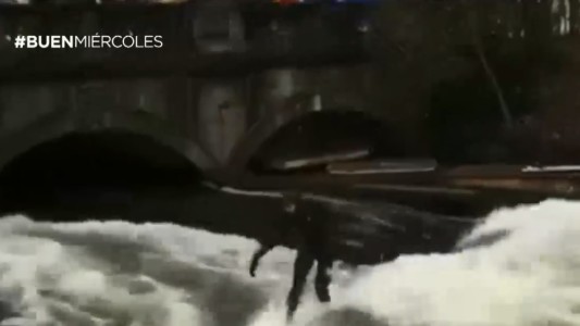 Surfeando en el río