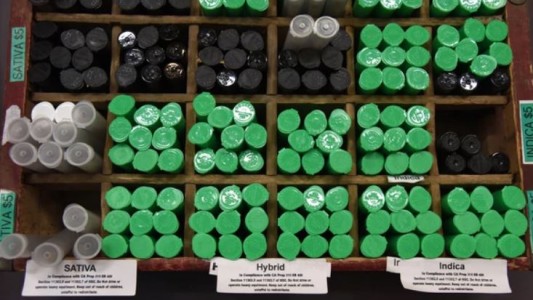 La venta de marihuana recreativa ya es legal en California