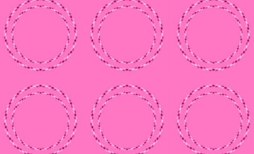 La sorprendente ilusión óptica de los círculos que causa furor en las redes