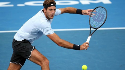 Del Potro perdió la final de Auckland ante el español Agut