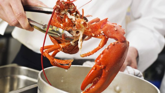 Suiza prohíbe cocinar las langostas vivas en agua hirviendo