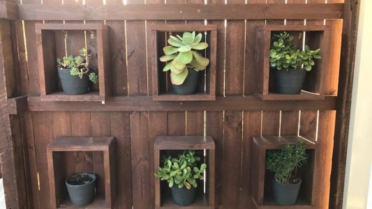 Nuevo desafío viral: ¿podés ver a la serpiente de casi dos metros escondida en la foto?