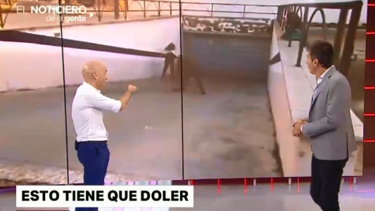 Viernes de videos virales