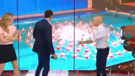 Los videos virales más divertidos