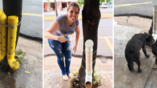El ingenioso invento para alimentar a perros de la calle que se volvió mega viral
