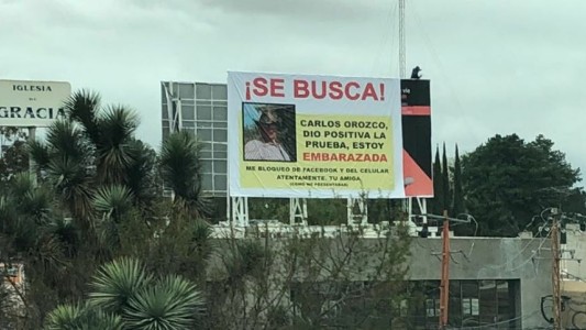El insólito cartel que una mujer puso en un edificio escrachando al hombre que la dejó embarazada