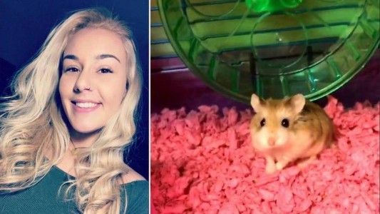 No la dejaban subir al avión con su hámster y lo tiró por el inodoro del aeropuerto