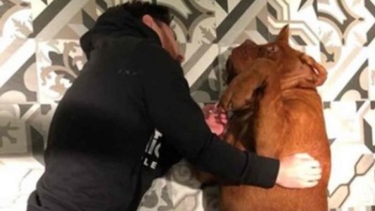 Furor en Instagram por las fotos de Leo Messi y su enorme perro Hulk