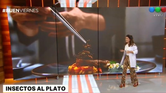 Europa autoriza los insectos como un alimento