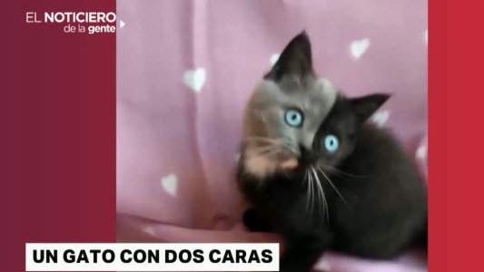 Los seis videos de miércoles
