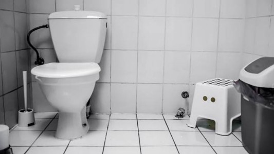 Un estudio científico reveló por qué hay que cerrar la tapa del inodoro antes de tirar la cadena