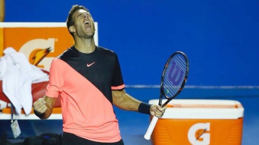 Del Potro venció a Thiem y pasó a semifinal en Acapulco