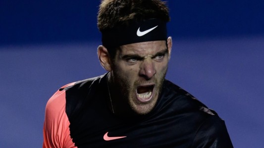 Del Potro, imparable: avanzó a la final en Acapulco