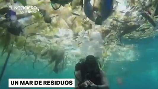 Nadar entre basura, el salto del perro biónico y el robo del Oscar