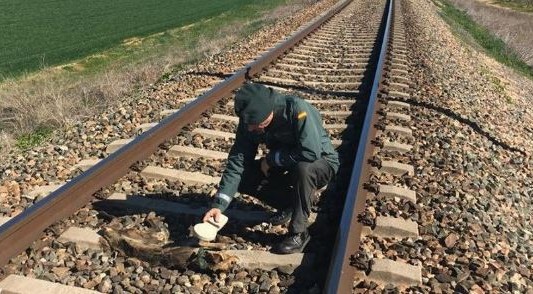 España: identificaron al acusado de matar animales atándolos a vías del tren