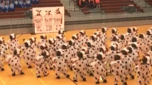Baile ultra viral: los nenes disfrazados de vacas que son furor en Facebook
