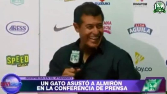 Video viral: mirá el animal que interrumpió la conferencia de Almirón en Colombia