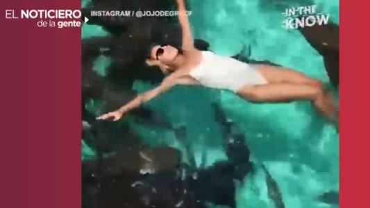 Descanso entre tiburones y ropa que brilla