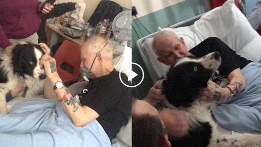 Video pura emoción: el anciano que se reencontró con su perro antes de morir en el hospital