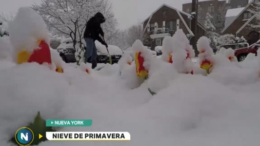 Nueva York: una tormenta de nieve en plena primavera