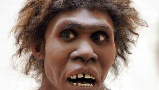 Según estudio, neandertales se adaptaron mejor al entorno gracias a su "fealdad"