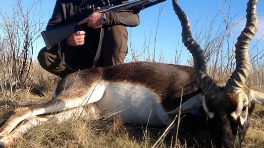 Condenaron a prisión a una estrella de cine por caza furtiva
