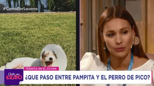 Pampita infraganti: el día que volvió tarde de bailar y el perro de Pico Mónaco la mandó al frente