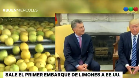 Sale el primer embarque de limones a Estados Unidos