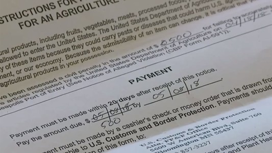 Una mujer deberá pagar una multa de US$500 por quedarse con una manzana que le dieron en un vuelo