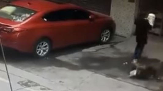 El perro que cayó del cielo y golpeó a una mujer en la cabeza