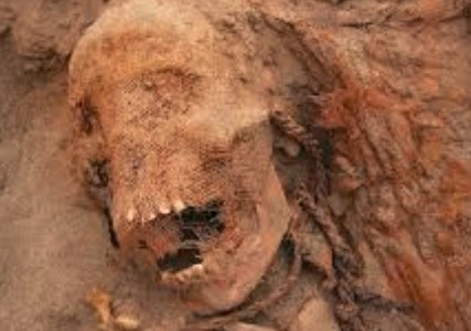 Descubrieron en Perú los restos del mayor sacrificio de niños del mundo