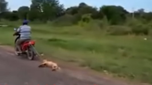 Indignación en las redes: ató a su perra a la moto y la arrastró por varios kilómetros