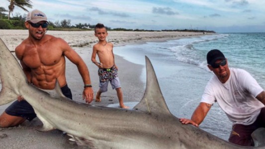 La foto del enorme tiburón martillo que se volvió viral por otra razón