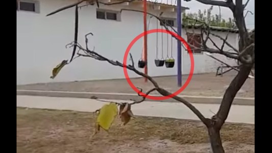 Misterio en Mendoza por la plaza en la que juegan los "nenes fantasmas"