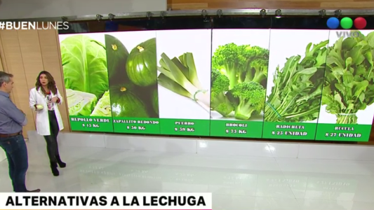 Alternativas para la lechuga