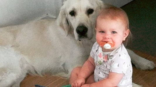 Pusieron una cámara en el cuarto de su beba y descubrieron cómo se fugaba cada noche de su cama