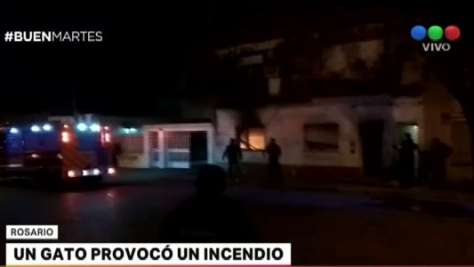 Un gato provocó un incendio en Rosario