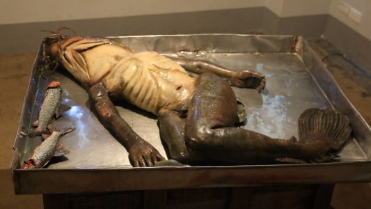 Revelan la verdad del caso de la "sirena mutante" que aterró a Tailandia